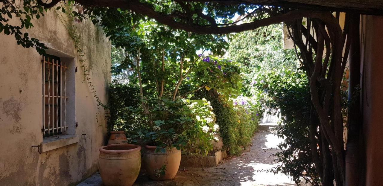 L'Odyssee Provencale, Un Duplex De Charme De 2 Chambres Au Pied Du Village Medieval De Bormes-Les-Mimosas, Offrant Des Prestations Haut De Gamme Et Une Superbe Vue Sur Le Massif Des Maures Exteriör bild